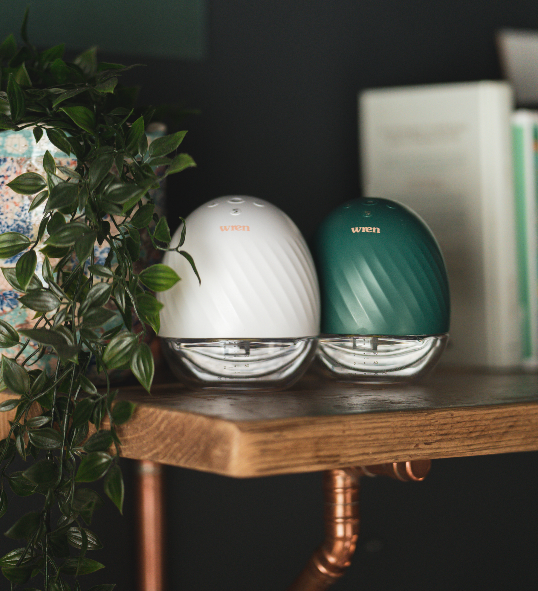Hands-Free Double Breast Pumps