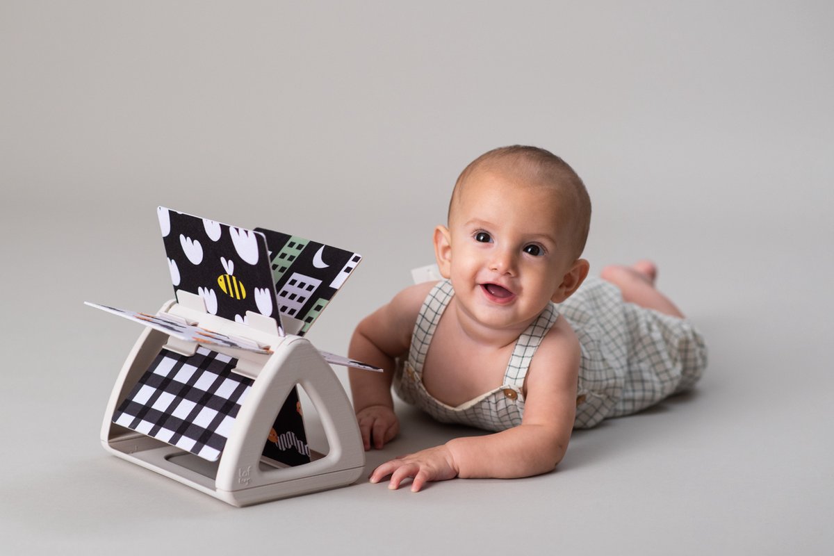 Taf Toys Urban Garden Spinning Book
