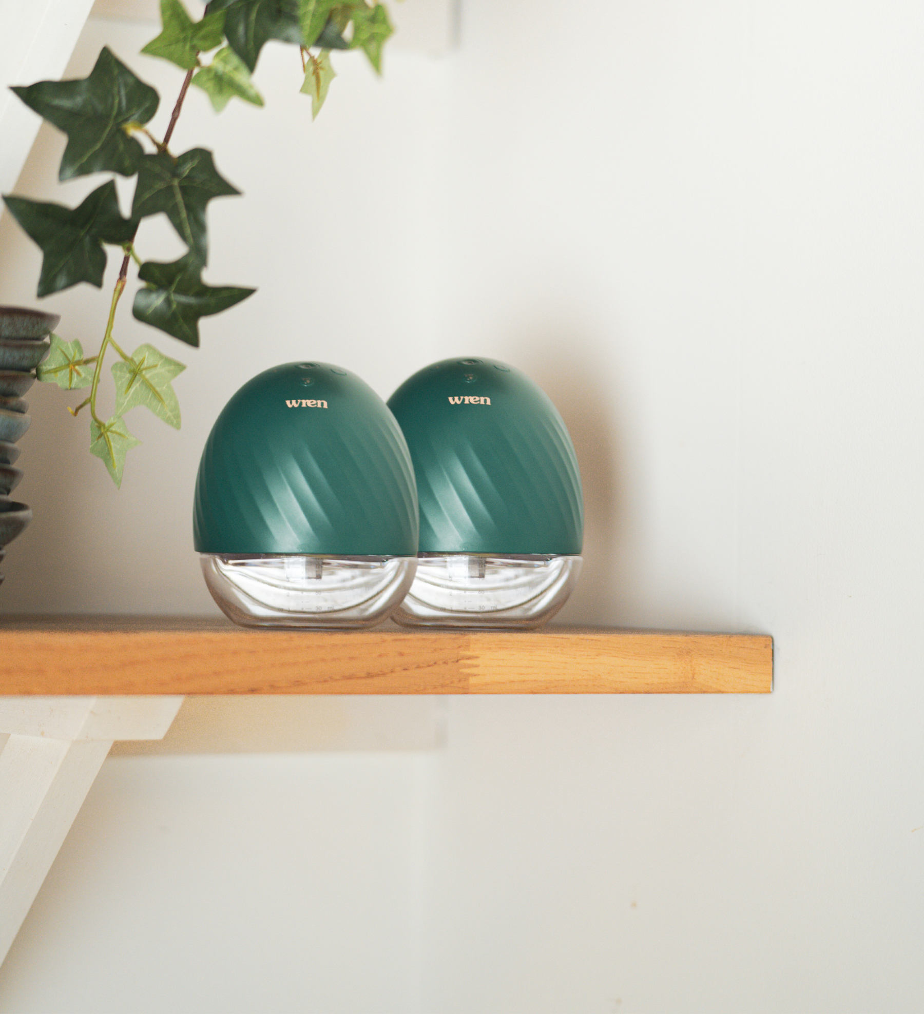 Hands-Free Double Breast Pumps