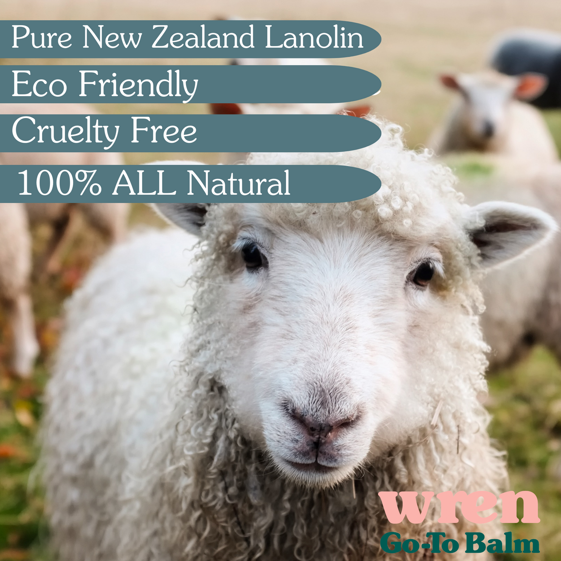Wren Go-To Balm - Nipple Salve