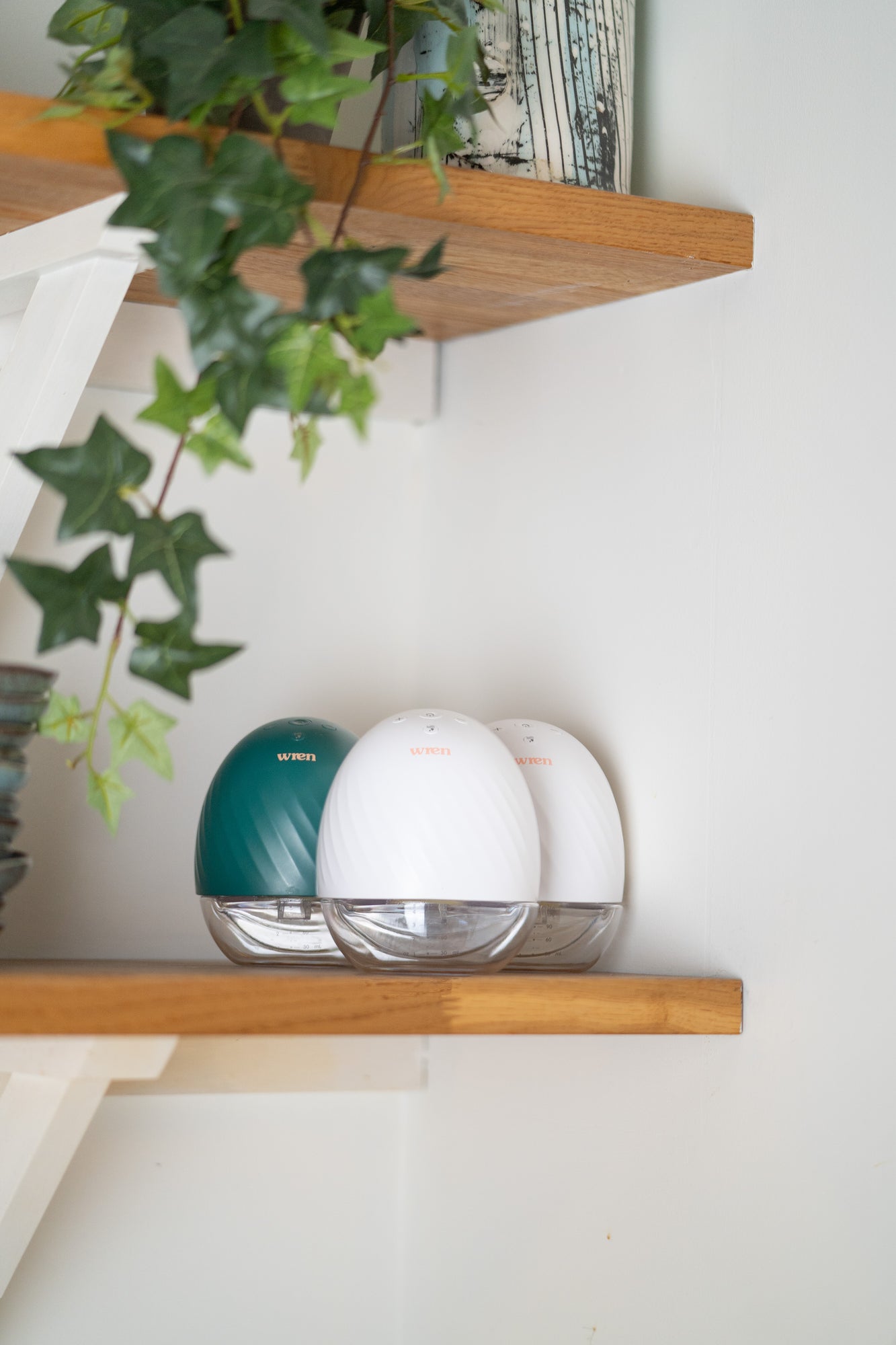 Hands-Free Double Breast Pumps