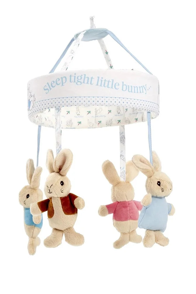 Peter rabbit baby 2024 bouncer