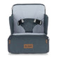 Jané Travel Booster Seat