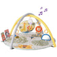 Savannah 360° Activity Gym
