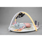Savannah 360° Activity Gym