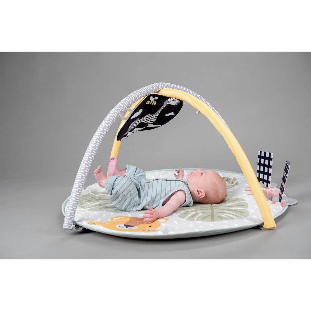 Savannah 360° Activity Gym