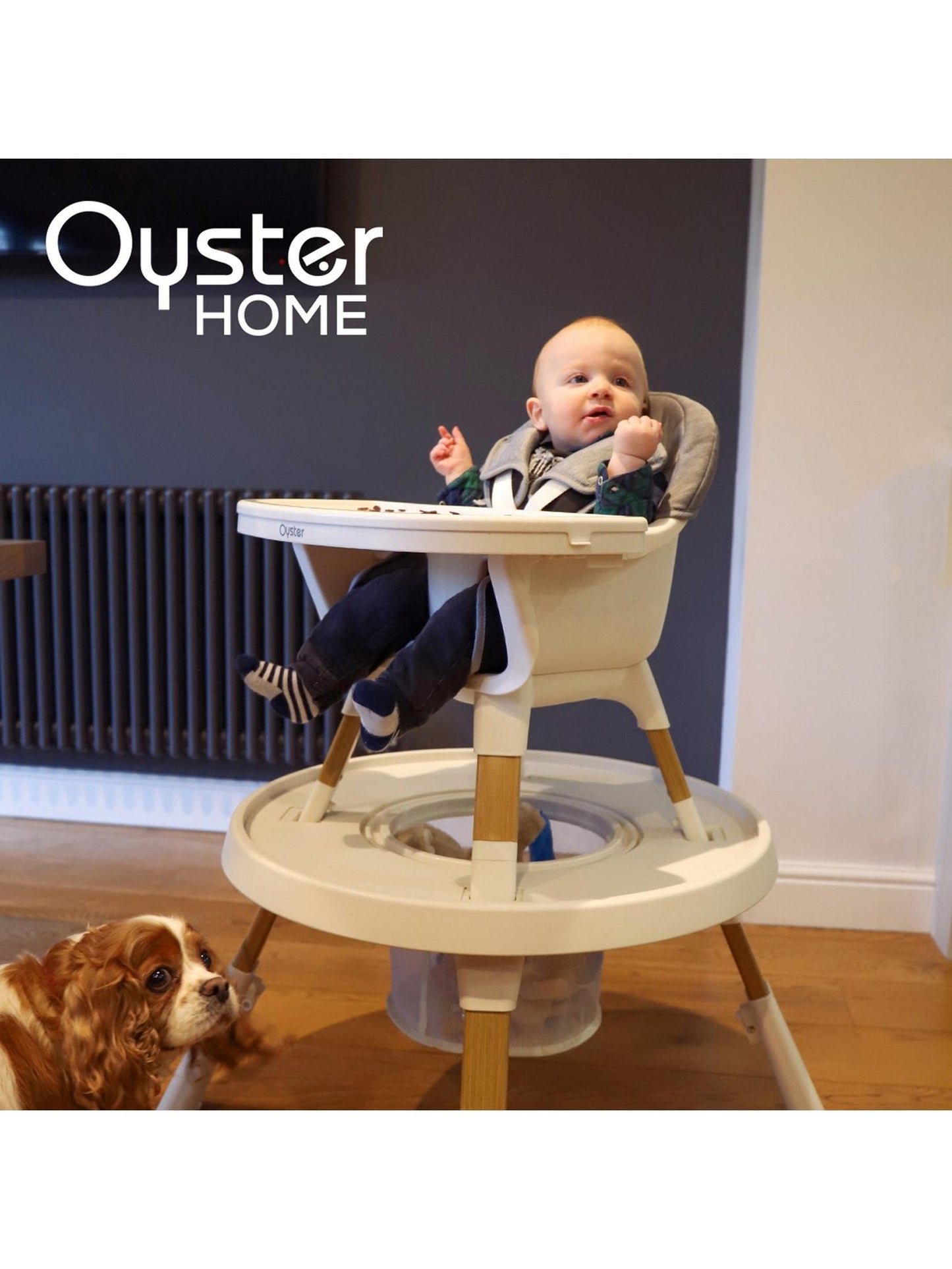 Oyster  4-In-1 Highchair- Moon