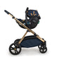Cosatto XL Everything Bundle On The Prowl