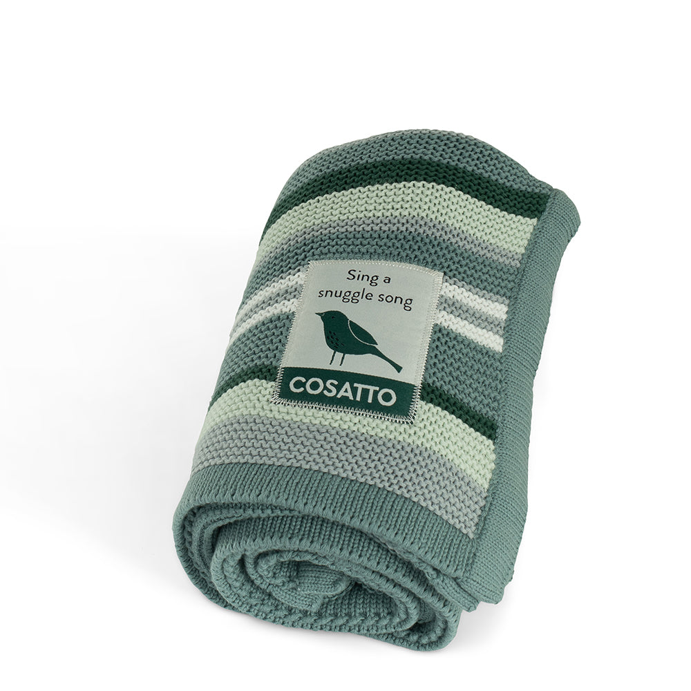 Cosatto Wow 3 Special Edition All Stage Family Rotate & Recline 2 Base Bundle Wildwood