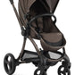 Egg 3 Luxury Bundle- Chocolate
