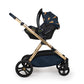 Cosatto XL Everything Bundle On The Prowl