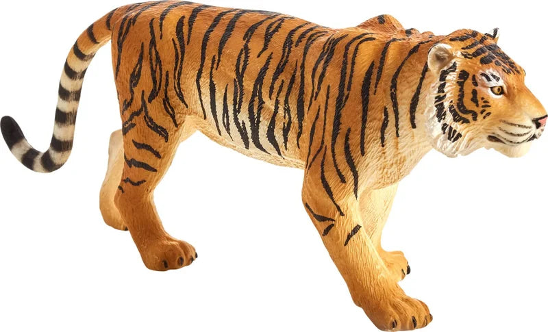 Animal planet Bengal tiger