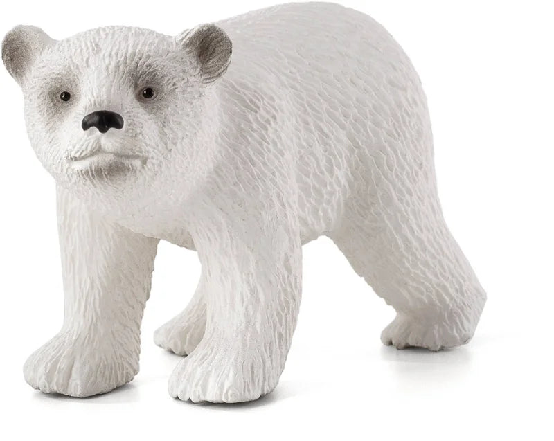 Animal Planet polar bear cub running