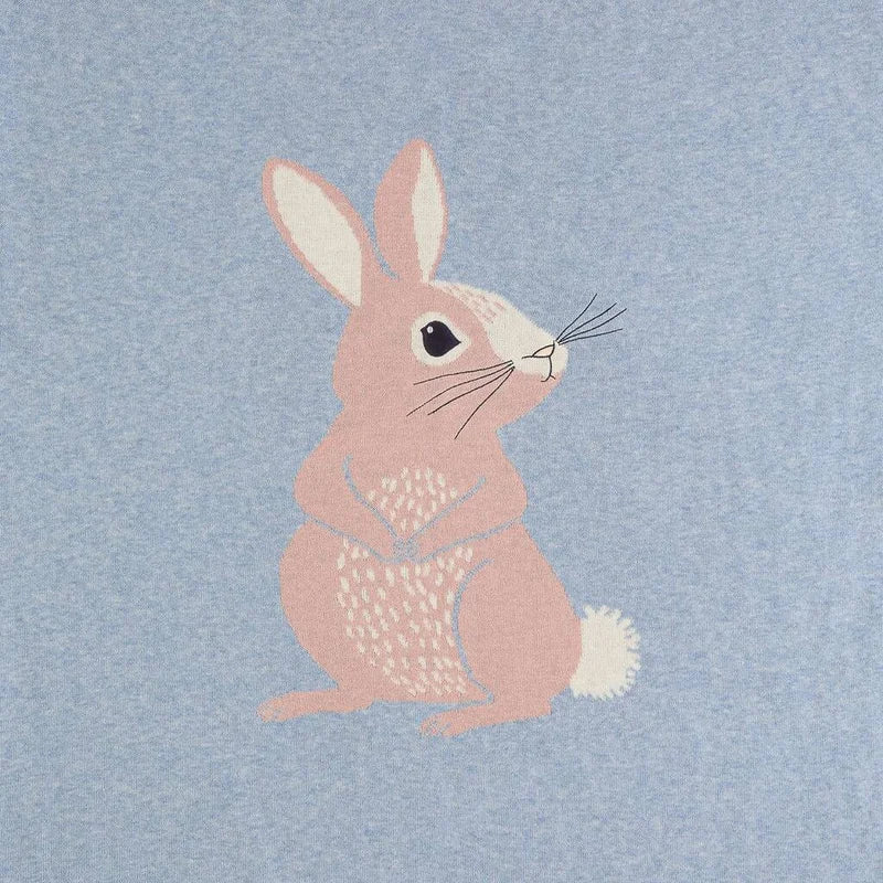 Bunny Blanket/Shawl
