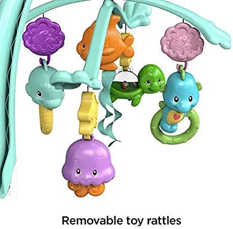 Fisher price soothe deals and play