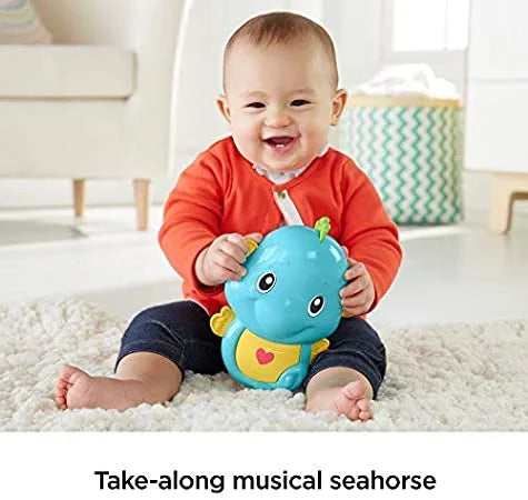 Fisher Price Soothe and Play Seahorse