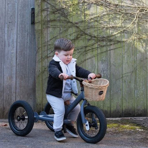 Precious little one trike discount